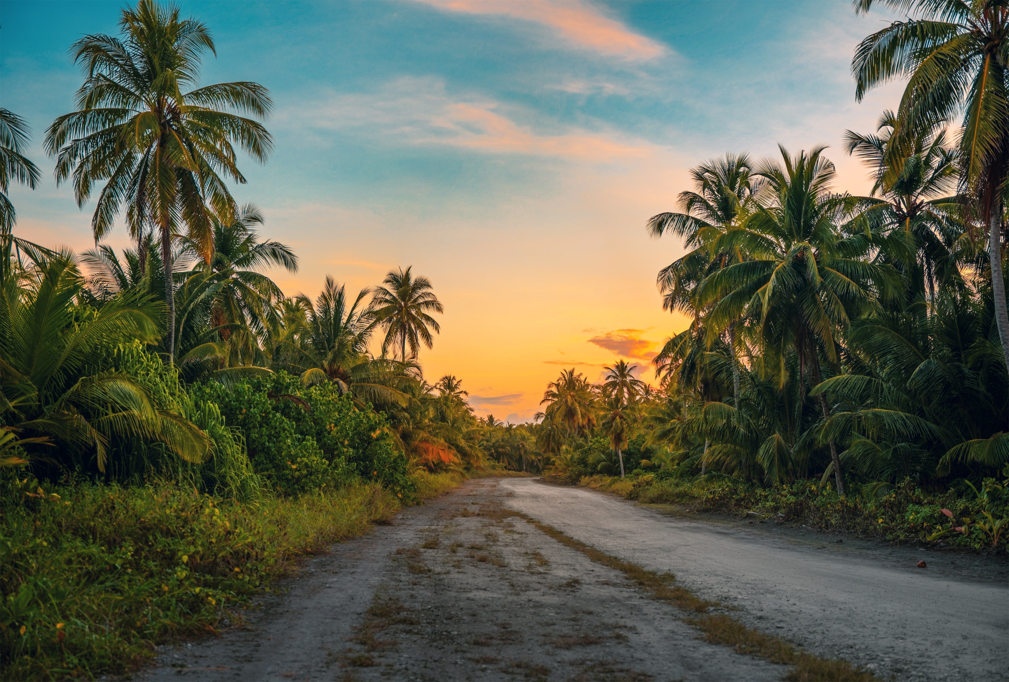 photography-of-dirt-road-surrounded-by-trees-1033729
