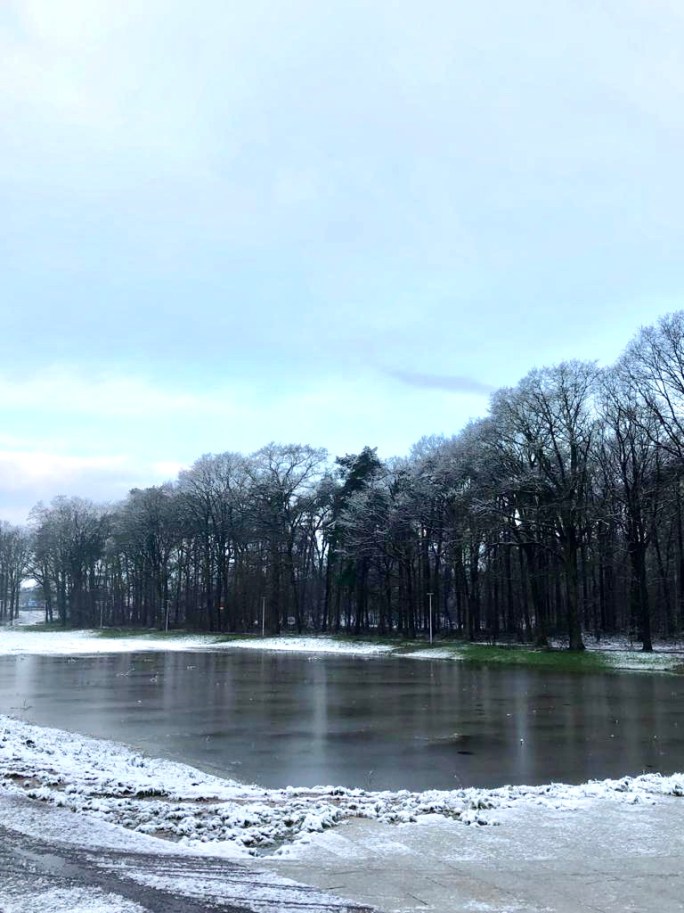 A1A37FAD-2010-49FC-B16B-99F66541002B